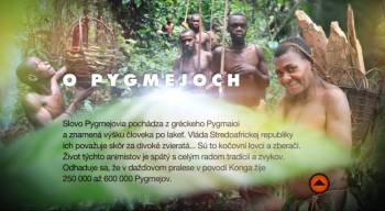 O Pygmejoch SK
